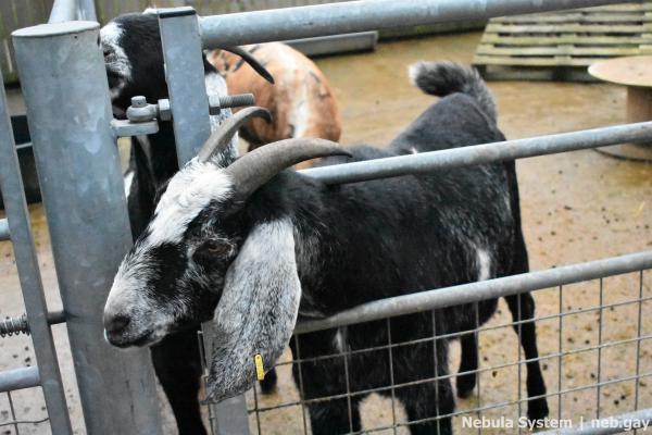 Don't post w/o my permission