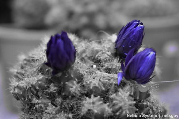 Don't post w/o my permission