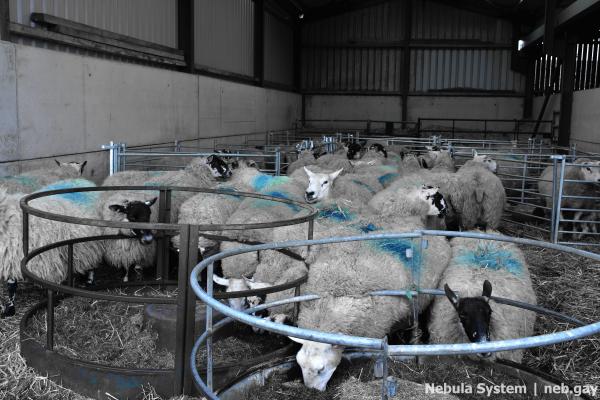 Don't post w/o my permission