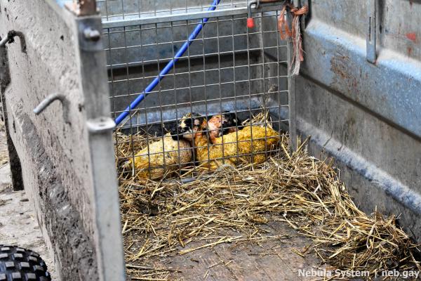 Don't post w/o my permission