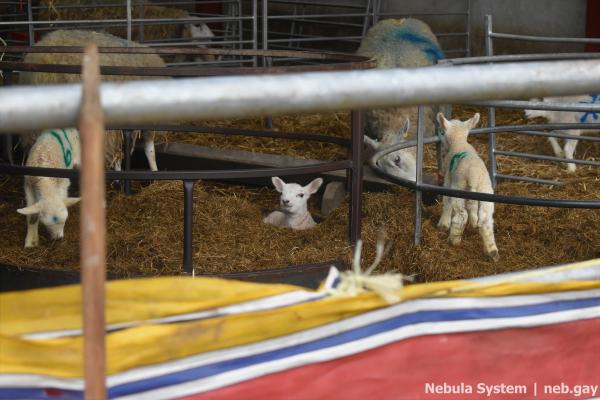 Don't post w/o my permission