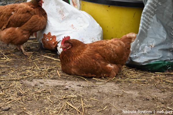 Don't post w/o my permission