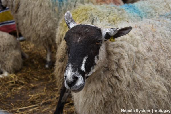 Don't post w/o my permission