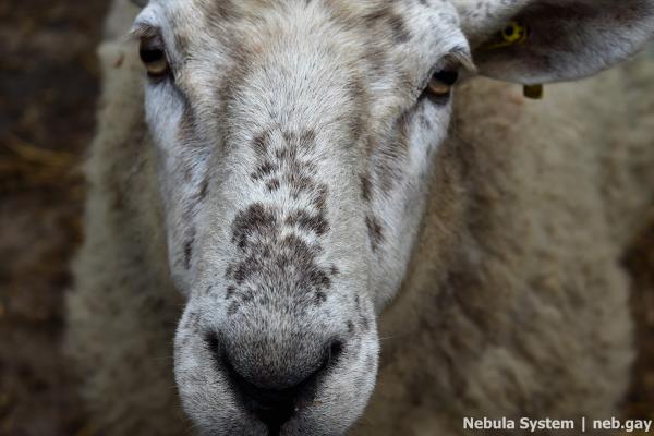 Don't post w/o my permission