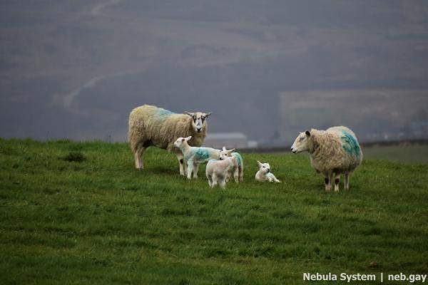 Don't post w/o my permission