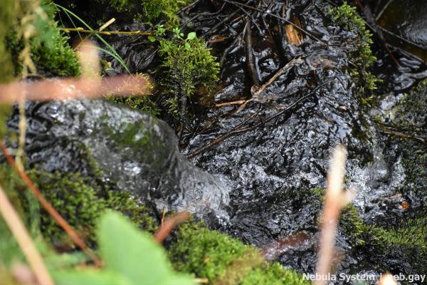 Don't post w/o my permission