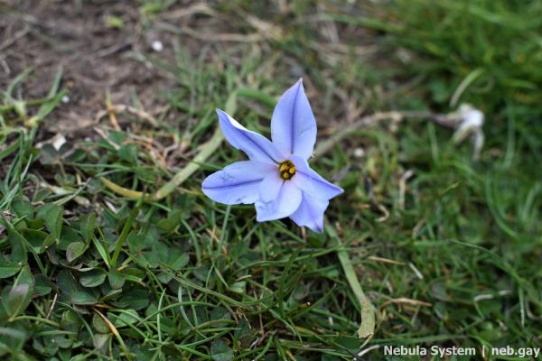 Don't post w/o my permission