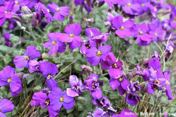 Don't post w/o my permission