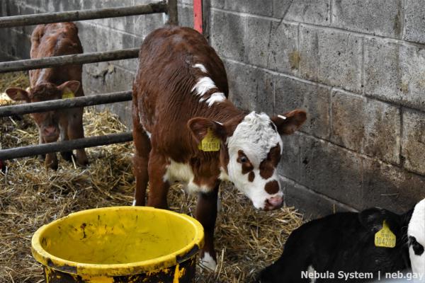 Don't post w/o my permission