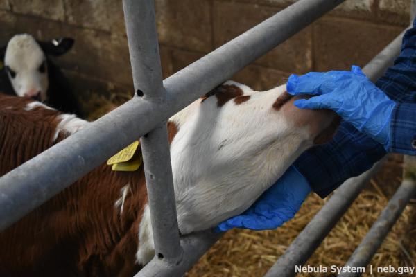 Don't post w/o my permission