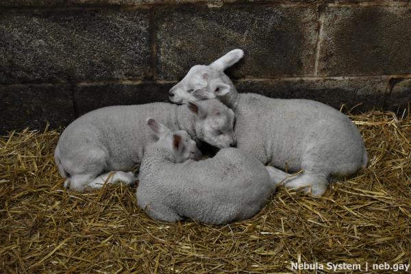 Don't post w/o my permission