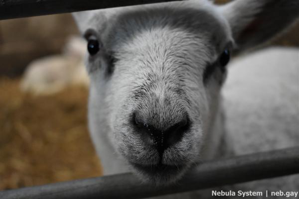 Don't post w/o my permission