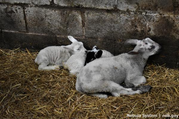 Don't post w/o my permission