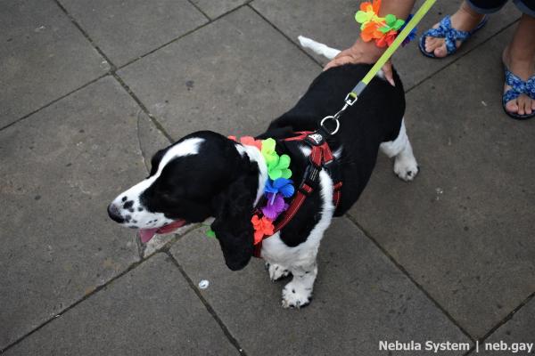 Don't post w/o my permission