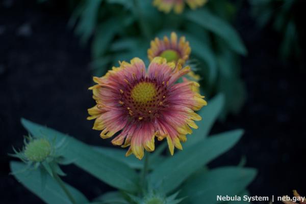 Don't post w/o my permission