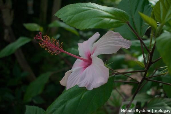 Don't post w/o my permission