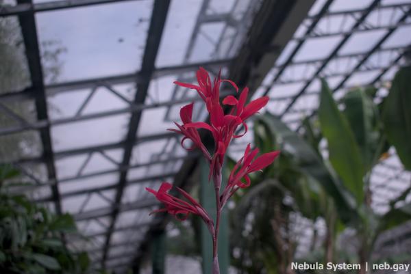 Don't post w/o my permission