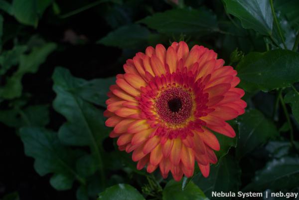 Don't post w/o my permission