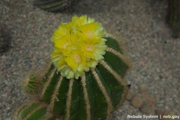 Don't post w/o my permission