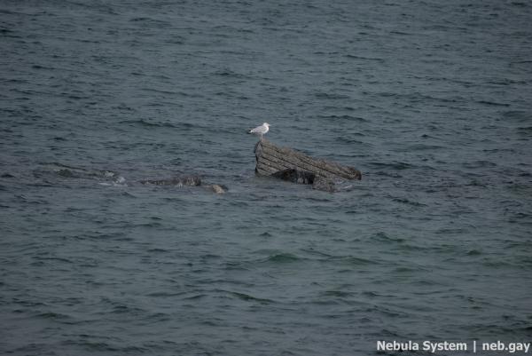 Don't post w/o my permission