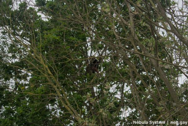 Don't post w/o my permission