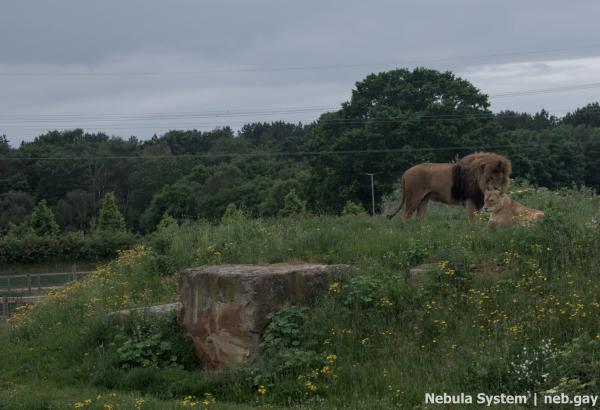 Don't post w/o my permission