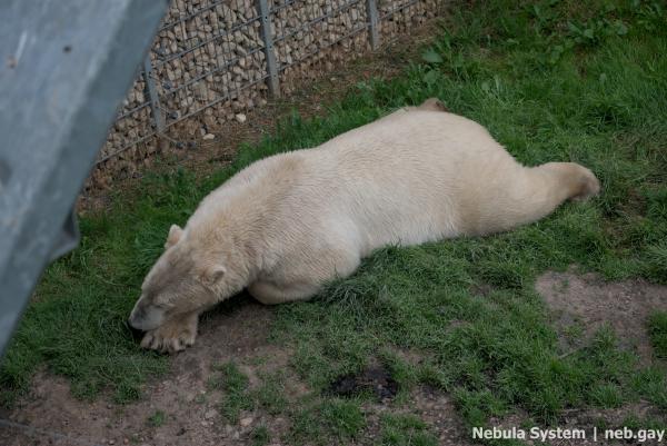 Don't post w/o my permission