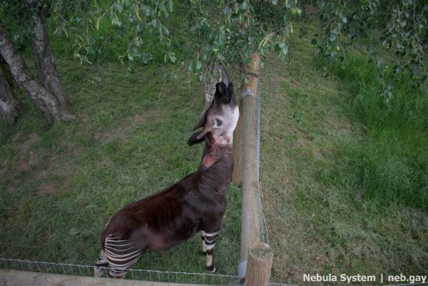 Don't post w/o my permission