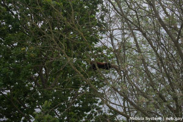 Don't post w/o my permission