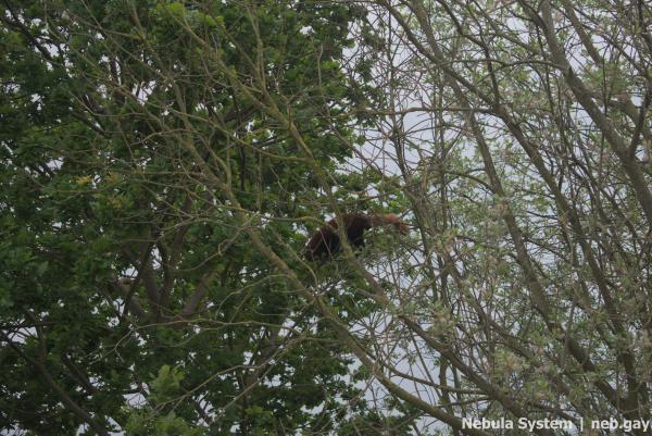 Don't post w/o my permission